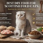 Best Dry Food for Scottish Fold Cats: High-Protein, Low-Carb Picks and Feeding Tips 
