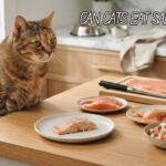 Can Cats Eat Salmon? What's Safe and What's Dangerous Can Cats Eat Salmon? What's Safe and What's Dangerous