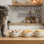 Homemade Food for Scottish Fold Cats: A Complete Guide