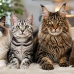 12 Best Cat Breeds for First-Time Owners A Complete Guide