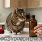 Is Hydrogen Peroxide Safe for Cats Side Effects and Safer Alternatives