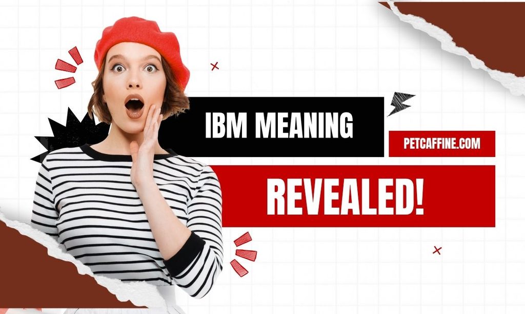 IBM Meaning What This Acronym Really Stands For